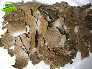 棉籽饼发酵牲畜饲料技术